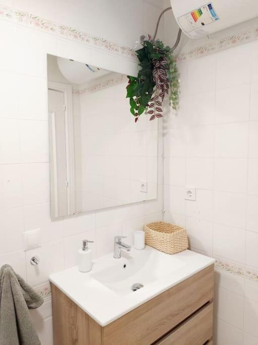 Nice Flat Close To The Centre 말라가 외부 사진
